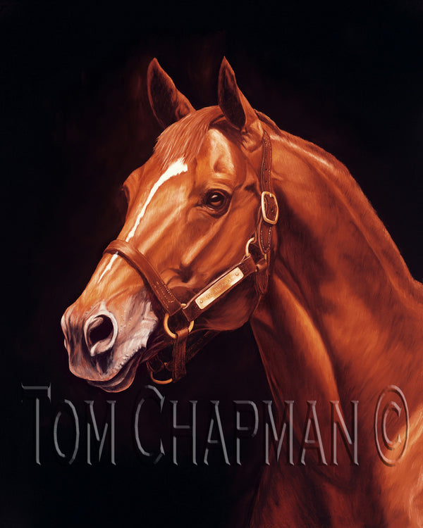 Secretariat - original oil painting, and canvas prints